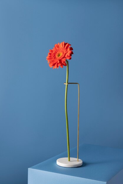 Front view of daisy decor on a marble stand