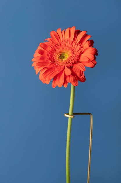 Front view of daisy decor with stand