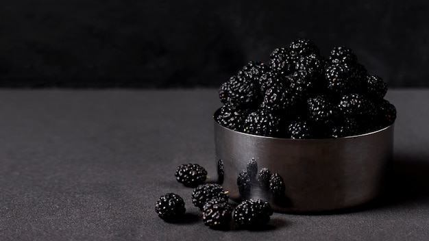 Front view dark delicious blackberries in a bowl