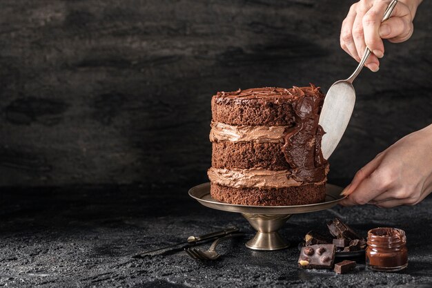 Front view of delicious chocolate cake concept