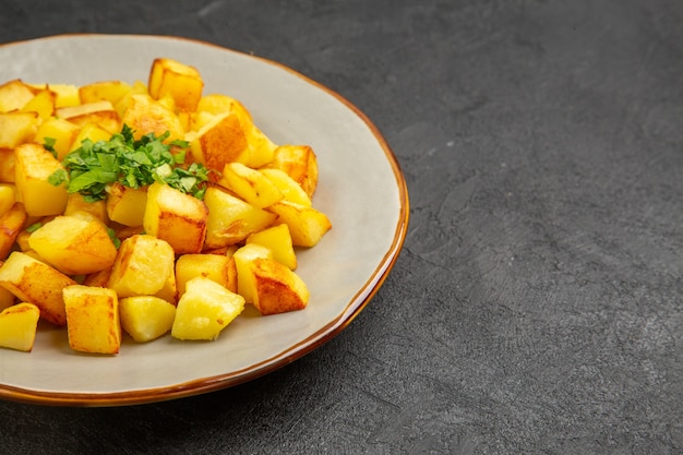 Free Photo front view delicious fried potatoes inside plate on dark table