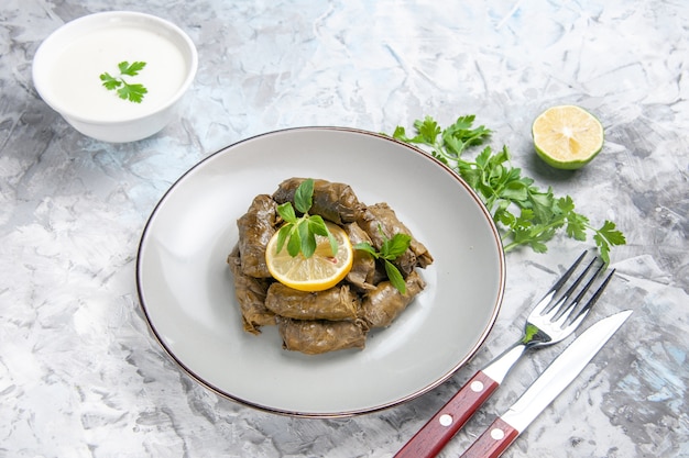 Free Photo front view of delicious leaf dolma with greens on white surface