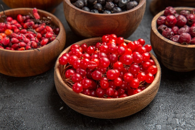 Front view different fresh fruits inside plates on a dark background fruit color photo many mellow juice