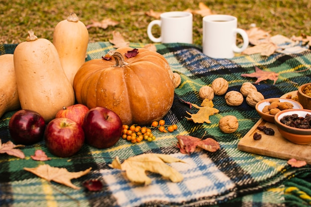 Free Photo front view fall season meal on picnic blanket 