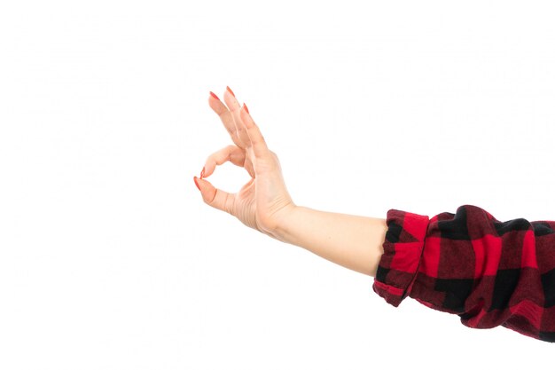 A front view female hand in black-red checkered shirt showing alright sign on the white