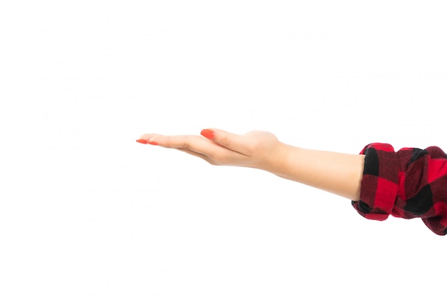 A front view female hand in black-red checkered shirt with open palm on the white