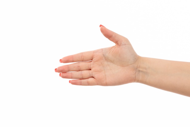 A front view female hand with colored nails handshake on the white