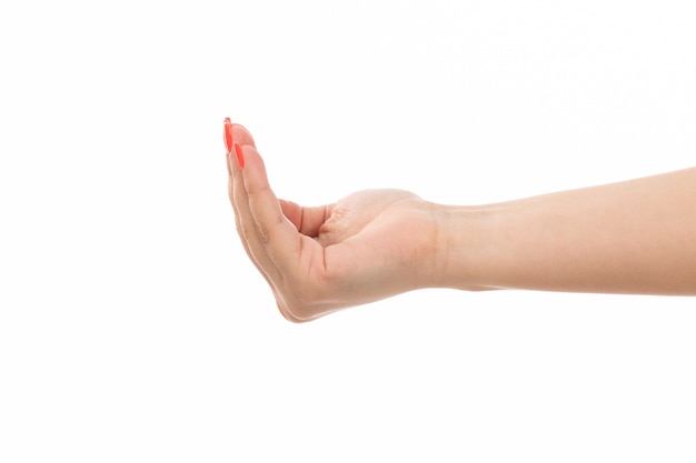 A front view female hand with colored nails open palm on the white