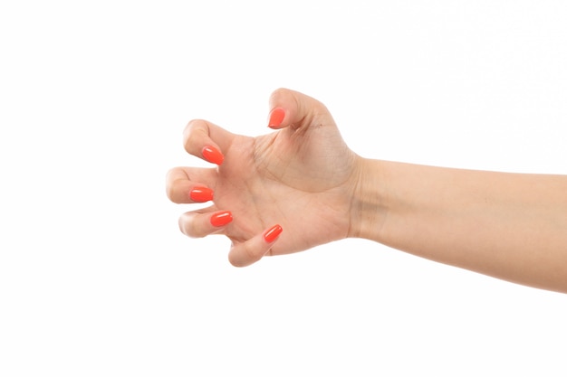 A front view female hand with colored nails paws on the white