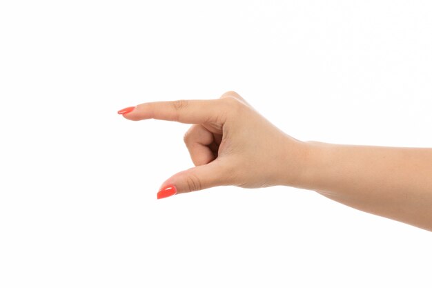 A front view female hand with colored nails raised hand on the white