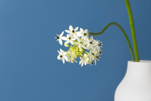 Free photo front view of flower in a vase with copy space