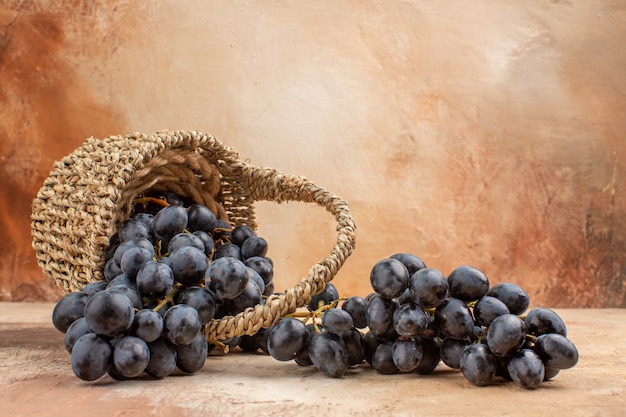 Front view fresh black grapes inside basket on the light background ripe fruit wine mellow photo