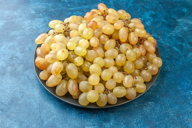 Front view fresh grapes inside plate on blue tree color mellow sour health exotic fruit photo