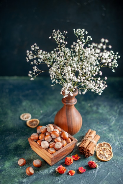 Free photo front view fresh hazelnuts on the dark-blue shell nut cips photo snack walnut peanut color