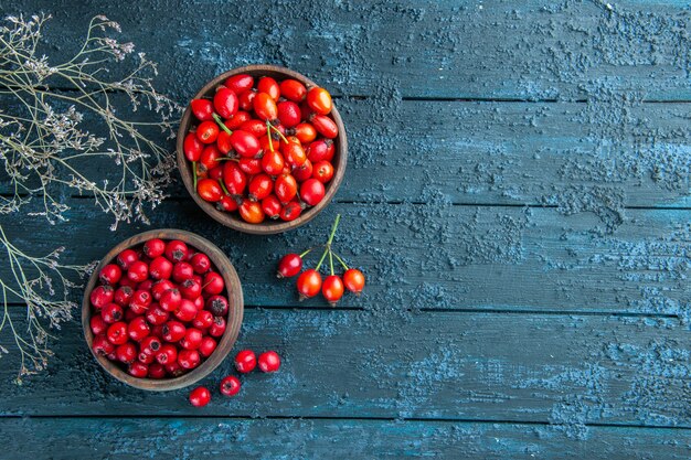 Free Photo front view fresh red berries inside plates on dark wooden desk berry wild fruit health photo color free space