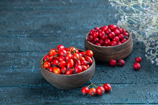 Front view fresh red berries inside plates on the dark wooden desk health berry wild color fruit photo