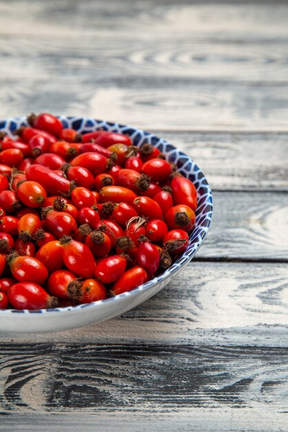 Front view fresh red fruits ripe and sour berries inside plate on the grey surface fruits berry color vitamine tree plant