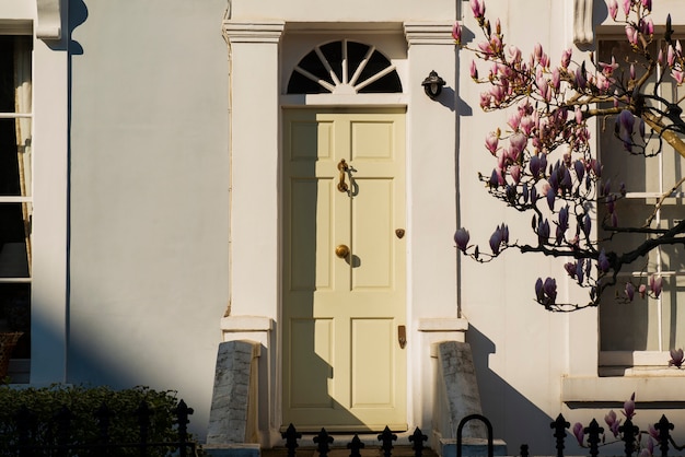 Free photo front view of front door with beige wall and plants