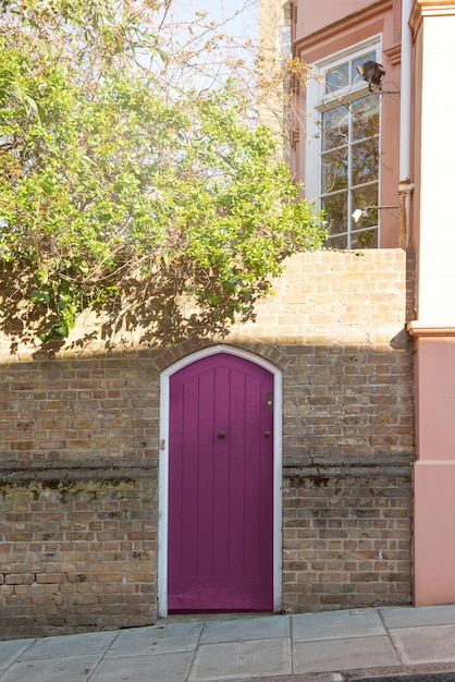 Front view of front door with brown wall and tree