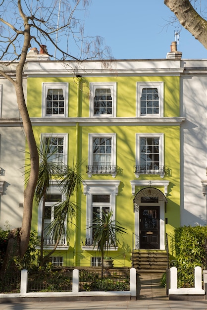 Front view of front door with yellow wall and plants