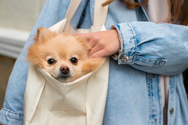 Front view girl carrying bag with dog