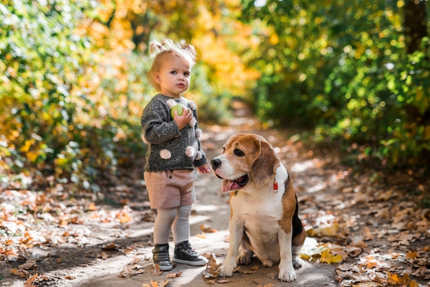 Free Photo front view of girl holding ball standing near beagle dog in forest