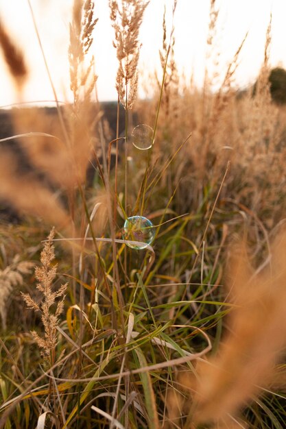 Free Photo front view of grass outdoors with soap bubble