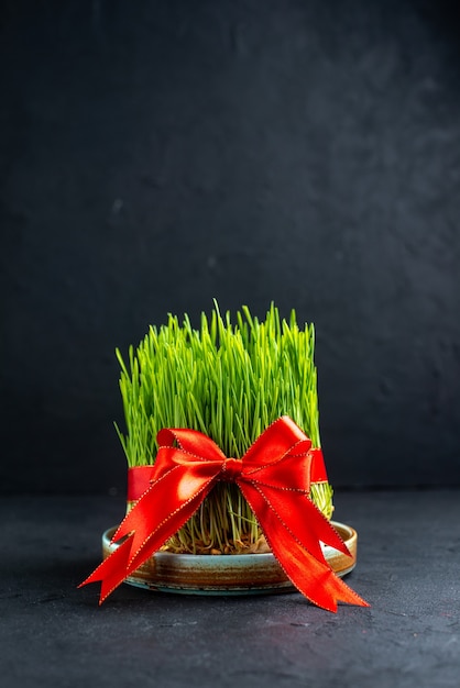 Front view green holiday semeni with red bow on dark surface