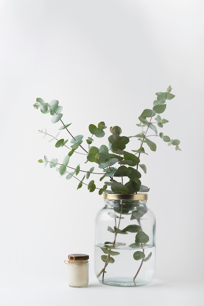 Front view green leafs in a jar