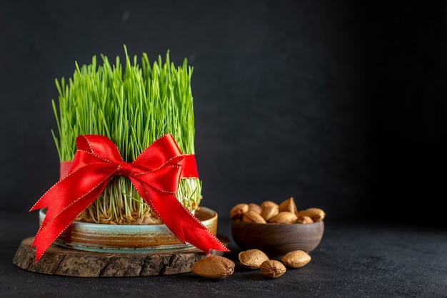 Front view green semeni with red bow and nuts on dark surface