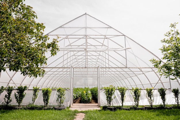 Free photo front view greenhouse and trees