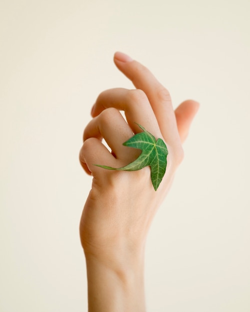 Front view of hand with green leaf