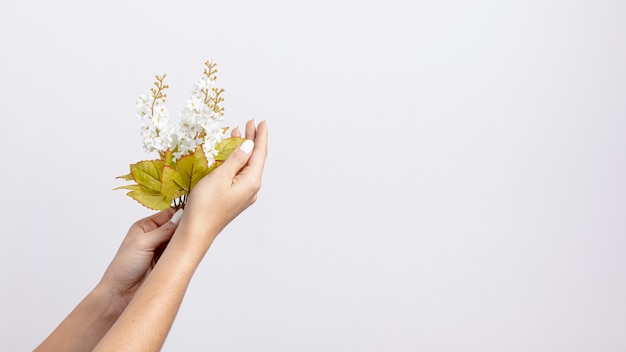 Front view of hands holding flowers with copy space