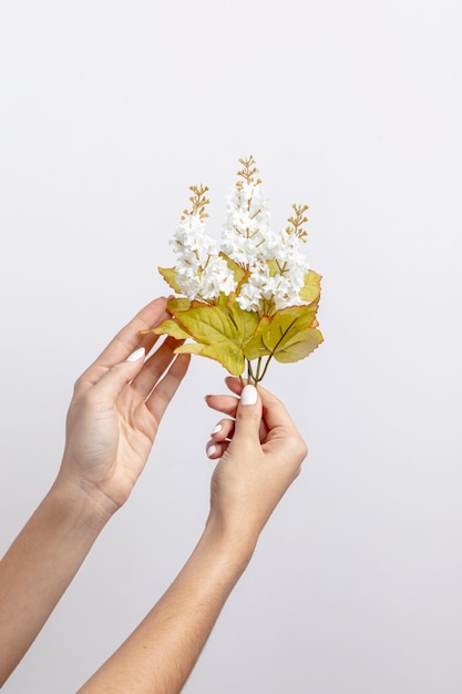 Front view of hands holding flowers