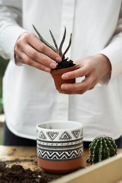 Free photo front view hands holding small potted plant