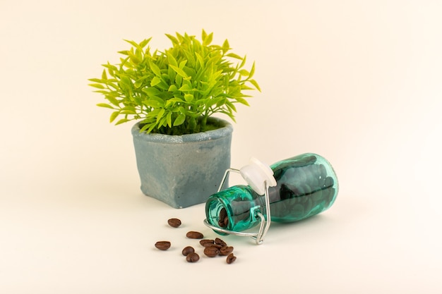 Free Photo a front view jar with coffee and green plant on the pink table coffee color flower seed