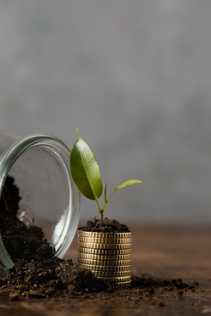 Free Photo front view of jar with dirt and stacked coins with copy space