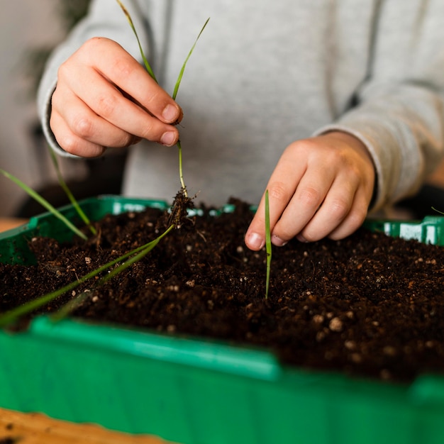 Free photo front view of little boy planting sprouts at home