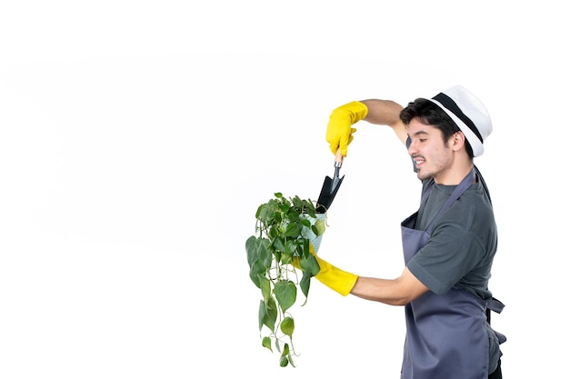 Front view male gardener taking care after little plant in pot on white background work ground tree flower grass job garden bush