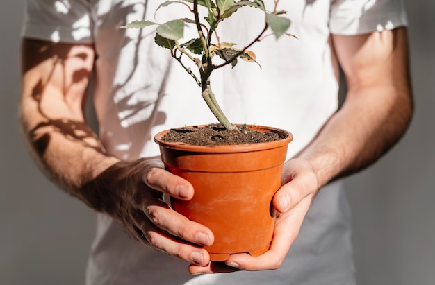 Front view of man holding pot of plant