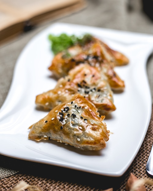 Free photo front view meat samsa with sesame seeds and poppies