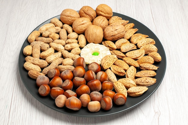 Front view nuts composition fresh walnuts peanuts and hazelnuts inside plate on white desk nut tree snack plant many shell