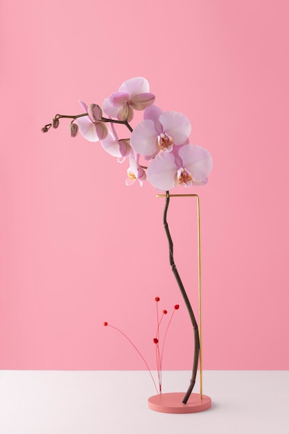 Free photo front view of orchid flowers on a stand