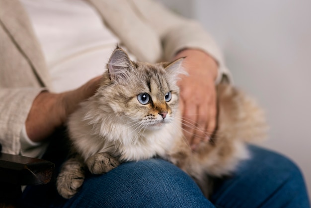 Free photo front view owner holding cute cat