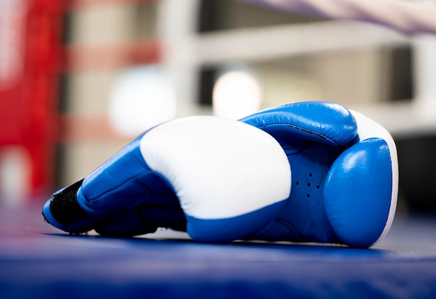 Front view of pair of boxing gloves