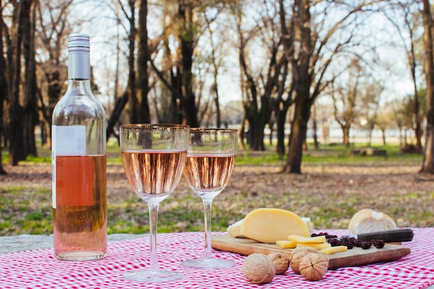 Front view picnic for two