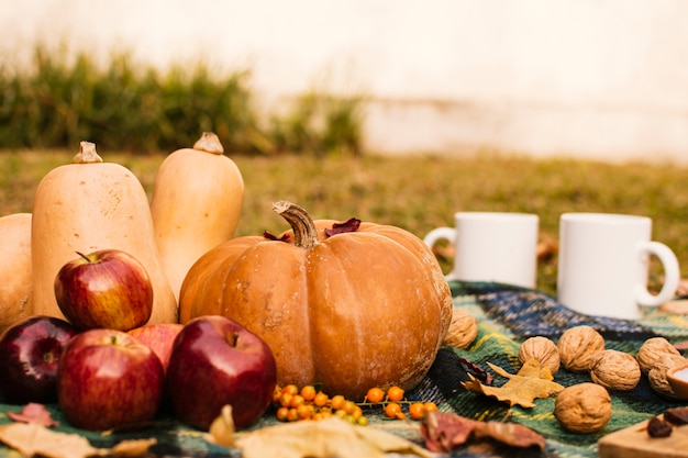 Front view picnic with pumpkins 