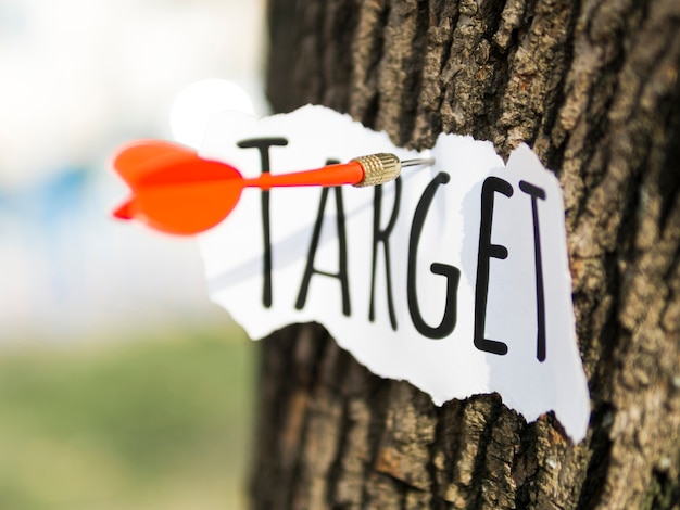 Front view of piece of paper with target stuck to tree bark