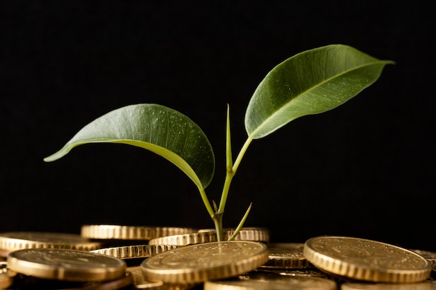 Free Photo front view of plant growing from coins