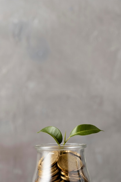 Free Photo front view of plant growing from jar of coins with copy space